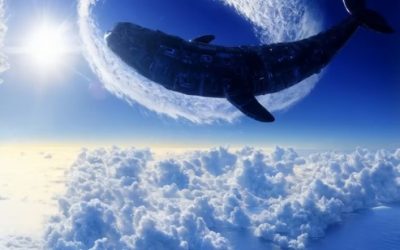 Generative Engine Optimization aplicado a páginas web